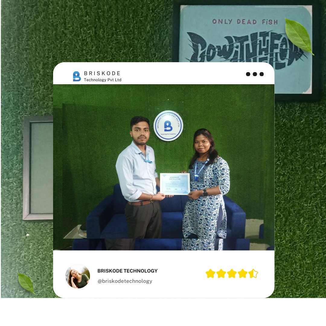 Briskode Technology - Modern Digital Solutions